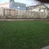 Carlos Gardening Services gallery