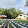 Lavender Oaks Farm gallery