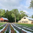 Lavender Oaks Farm - Farms