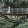 Photo #51