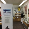 Living Sharks Museum & Research Center gallery