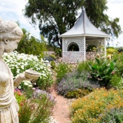 Gallery Image Number 4