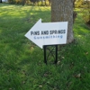 Pins and Springs Gunsmithing gallery
