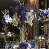Enchanted Events by Reyna gallery