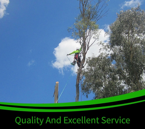 Bell's Tree Service - Wallamore, NSW. Quality & Excellent Services