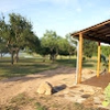 Lake Buchanan Lodge and Pavilion gallery