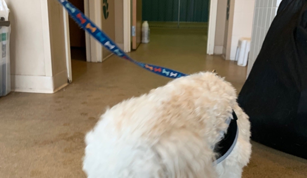 Amherst Boarding Kennel - East Amherst, NY