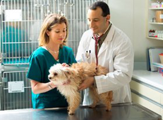 Washington County Veterinary Hospital - Howard Troob DVM - Wakefield, RI
