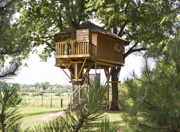 Tree-fort builders - Atlanta, GA