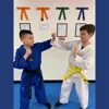 High Kick T K D gallery