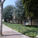 Cedar Grove Apartments