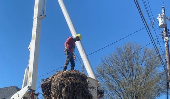 Native Tree Care, LLC - Amelia, OH