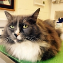 El Sobrante Veterinary Hospital - Veterinary Clinics & Hospitals