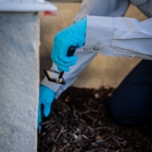 Fox Pest Control Worcester