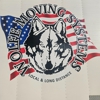 Wolfe Moving Systems gallery