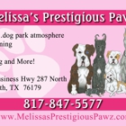 Melissa's Prestigious Pawz