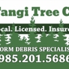 Tangi Tree gallery