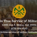 All in Tree Service of Milton - Tree Service
