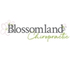 Blossomland Chiropractic Clinic, P.C. gallery