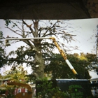 Fitzgerald Tree Service