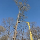 Axpert Tree Svc - Tree Service