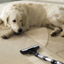 Phoenix Carpet And Upholstery - Carpet & Rug Cleaners