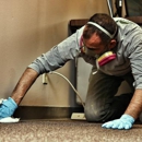 Mold Solutions of St Louis - Mold Remediation