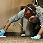 Mold Solutions of St Louis