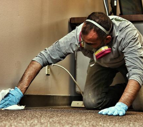 Mold Solutions of St Louis - Saint Louis, MO