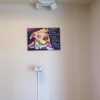 CarePlus Veterinary Clinic gallery