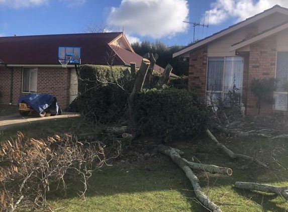 Little Guy Tree Surgery - Orange, NSW. After
