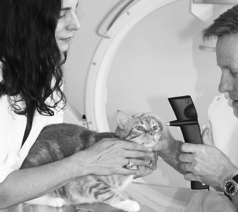 Eye Clinic For Animals - Artarmon, NSW