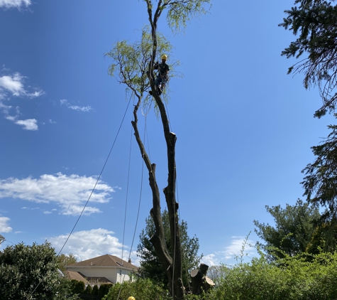 All Seasons Tree Care Inc - Bethlehem, PA