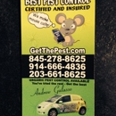 Best Pest Control - Pest Control Services