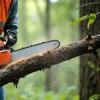 Arbor Care Tree Service gallery