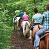 Hueston Woods State Park Lodge gallery