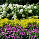 Bergeson Nursery - Garden Centers