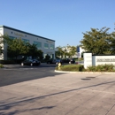 New York Life Insurance - Insurance