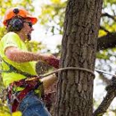 Jesse James Tree Service & Landscape - Arborists