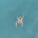 Brooksville Animal Removal - Pest Control Equipment & Supplies