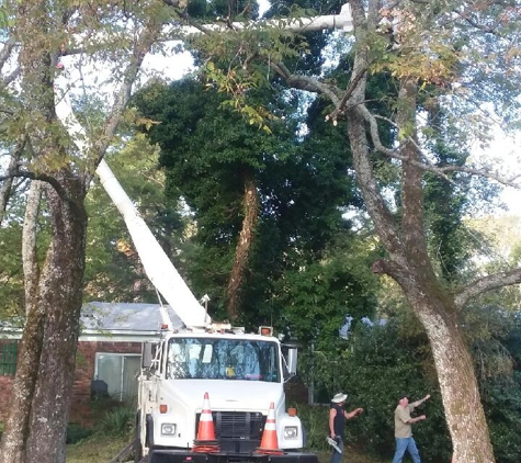 Afford Tree Service - Jacksonville, AR