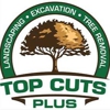 Top Cuts Tree Service & Landscaping gallery