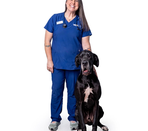 VCA Health Associates Animal Hospital - San Antonio, TX