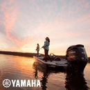 Pier 43 on Lake Tuscaloosa - Boat Dealers