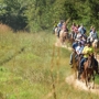 Confederate Trails of Gettysburg