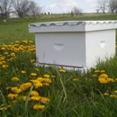 Hive Sweet Hive - Beekeeping & Supplies