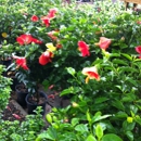 Leaf & Petal - Garden Centers
