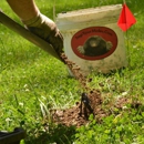 Trap Your Moles
