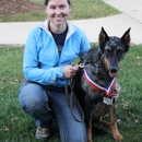 Elitehaus Canine Services - Dog Training
