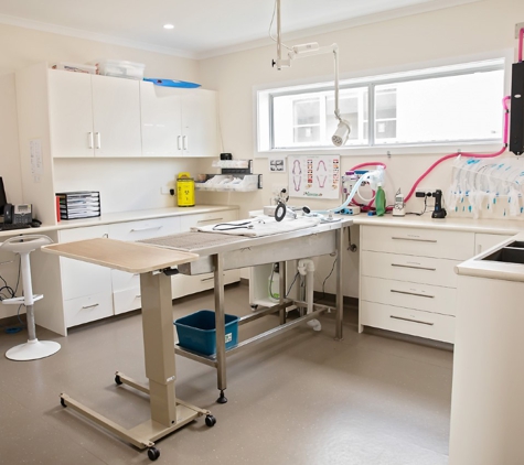 Blue Lake Veterinary Clinic - Mount Gambier, SA